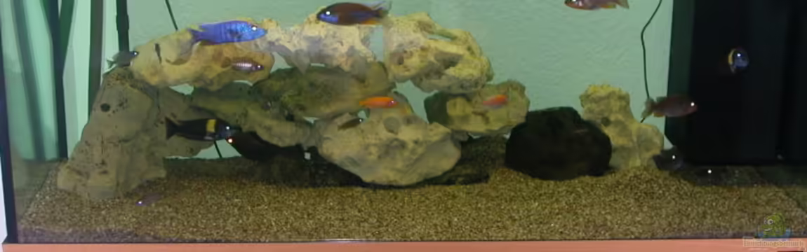 Becken 2135 von Michael Weber