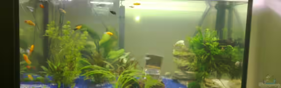 Becken 21469 von Robbes Klein