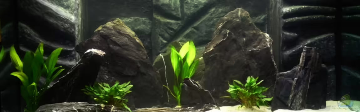 Becken 21494 von Roger