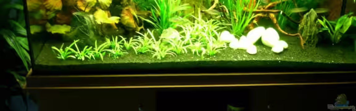 Becken 2173 von Stefan Saal