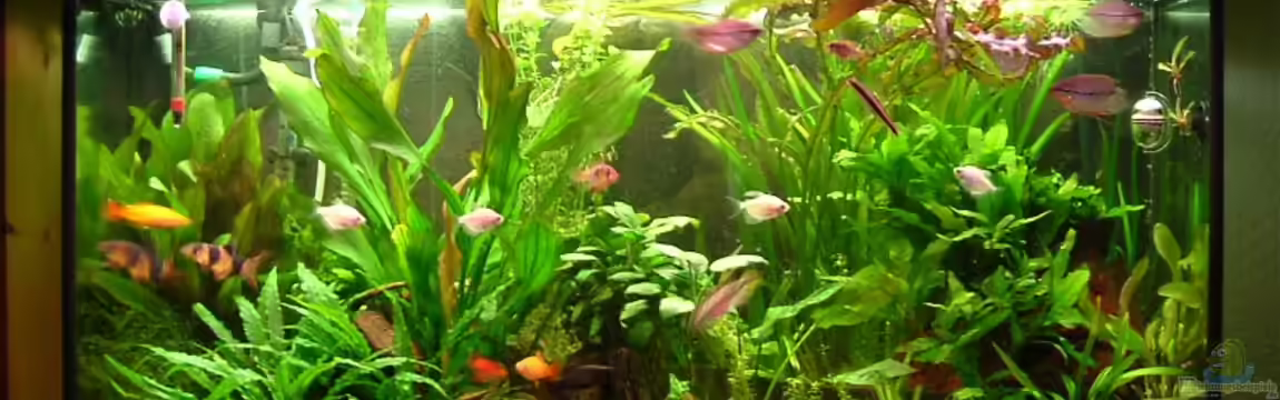 Becken 2177 von Oliver Krell