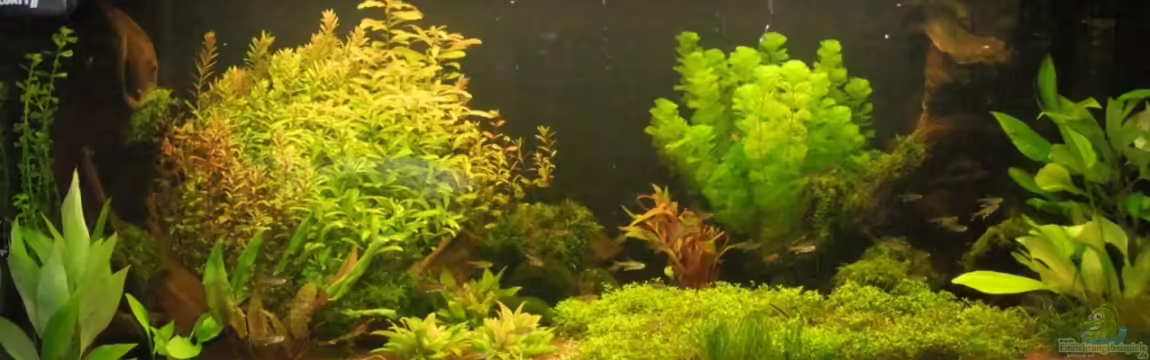 Becken 21928 von mikkel