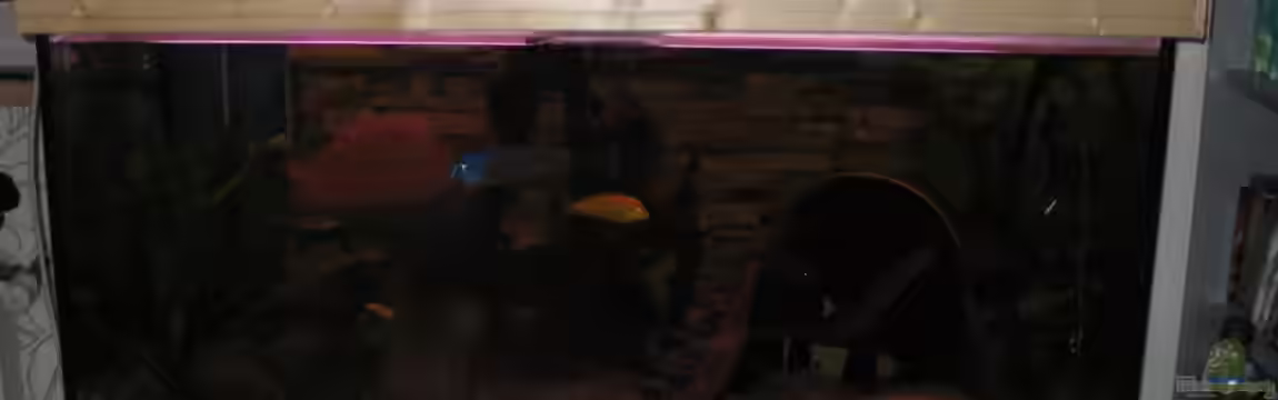 Becken 21937 von Markus Hoffman