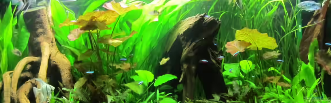 Becken 21964 von Mieze2010