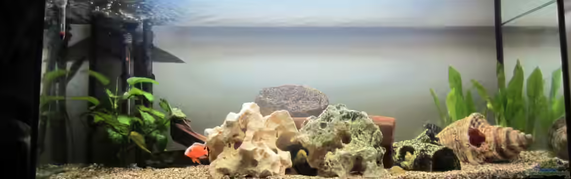 Becken 21999 von Wörner32