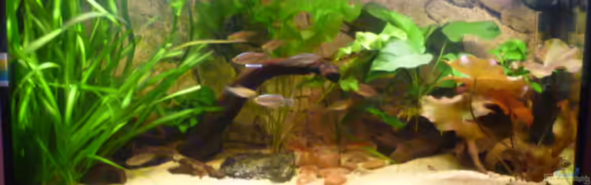 Becken 22012 von Marc Wollenberg