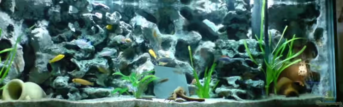 Becken 2203 von Ronny Kretschner