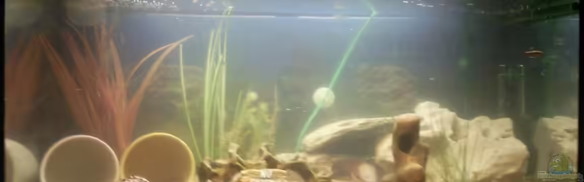 Becken 22213 von milchschnidde