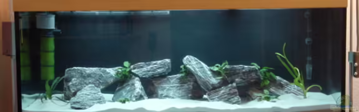 Becken 2223 von Klaus Muckenheim