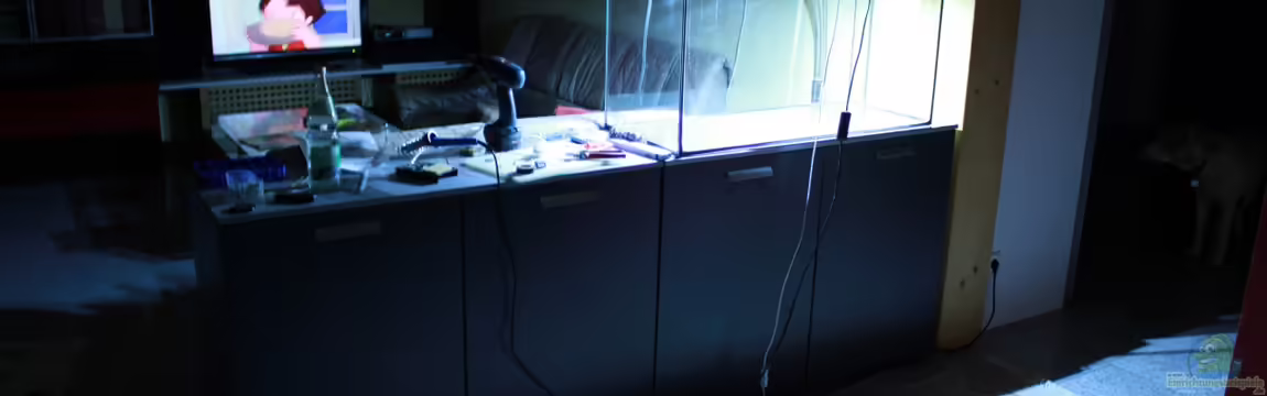 Becken 22264 von kon_nichiwa