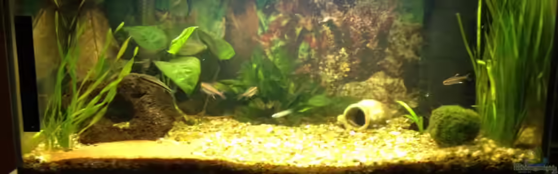 Becken 22308 von alex-kolb