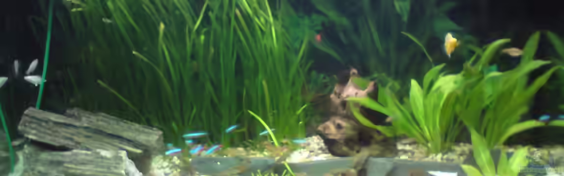 Becken 22390 von Daniel Brüninghaus