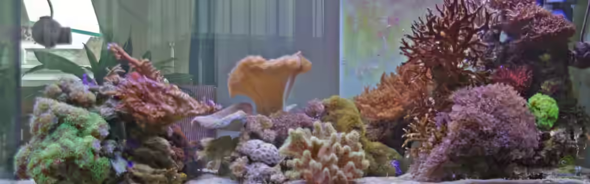 Becken 22455 von Dominik N.