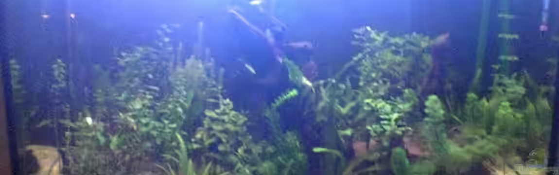 Becken 2256 von Steven Tumma