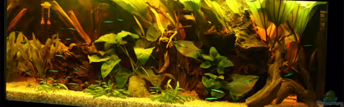 Becken 2261 von Maika Haimann