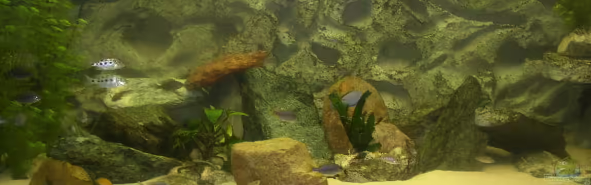 Becken 227 von Sabine Deiters