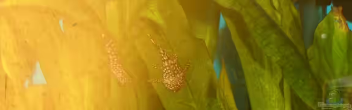 Becken 2271 von Christian Funke