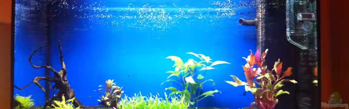 Becken 22715 von Shiml