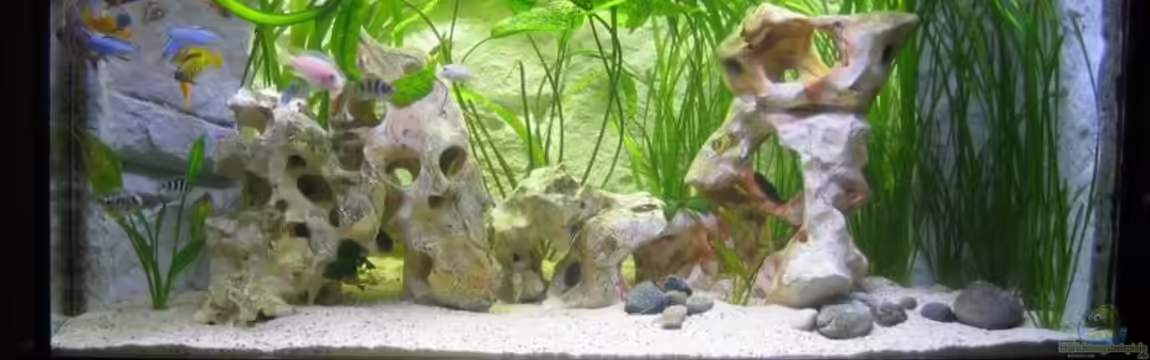 Becken 2273 von Tobinhio