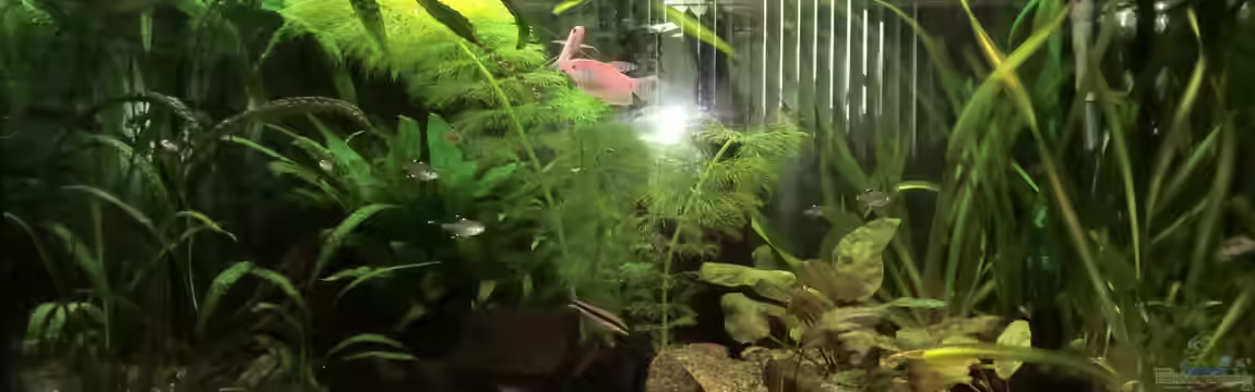 Becken 22830 von EricOo