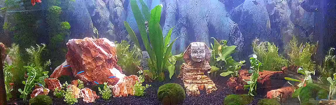 Becken 23118 von ElFluppe