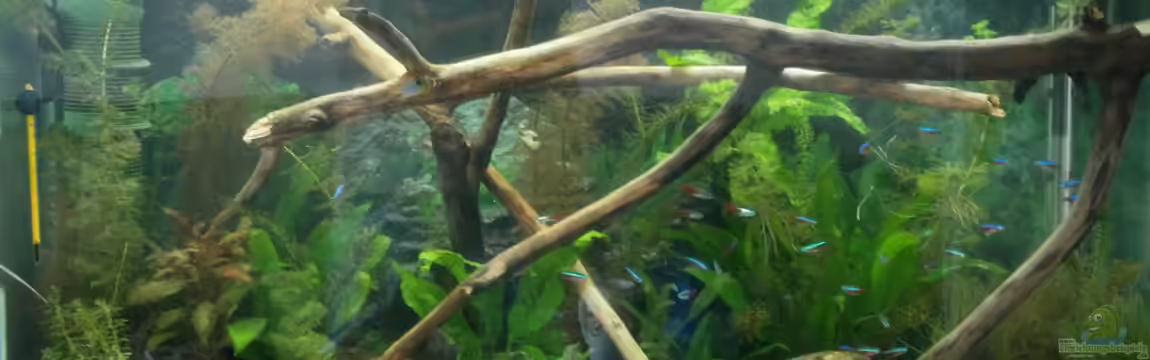 Becken 23166 von Dal3838