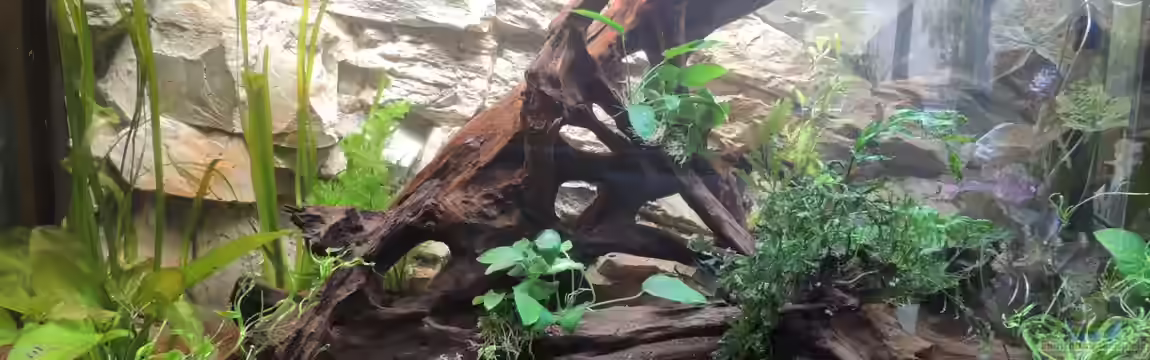 Becken 23314 von Tino Schurz