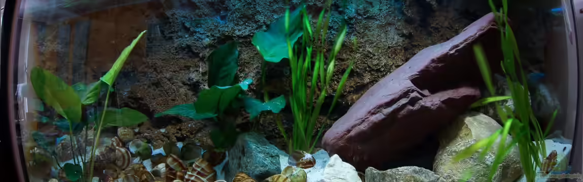 Becken 23346 von Fabian M