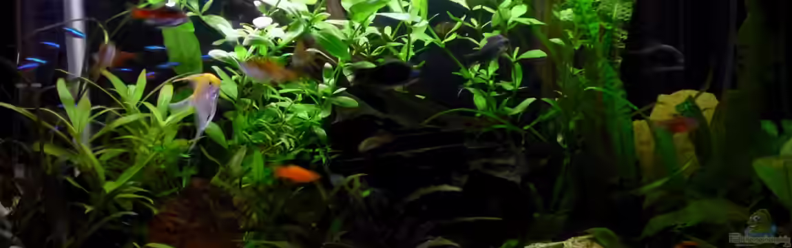 Becken 23437 von je2r