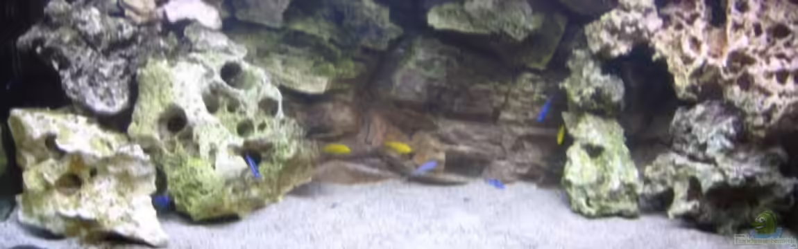 Becken 2351 von Peter Seifert