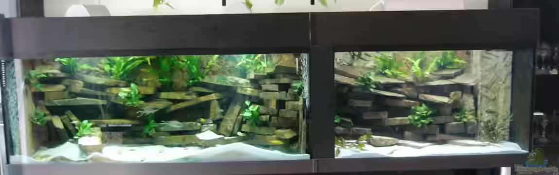 Becken 23533 von Jedy