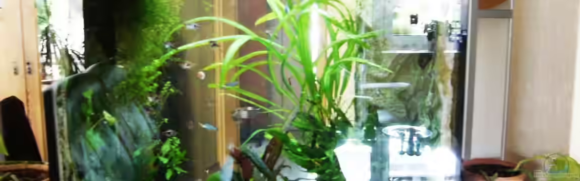 Becken 23534 von Jedy