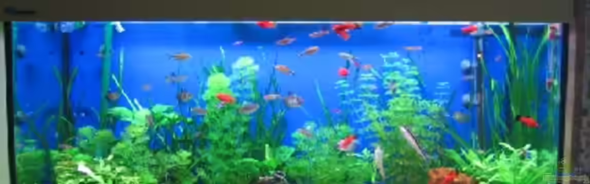 Becken 2376 von Helmut Ferchl