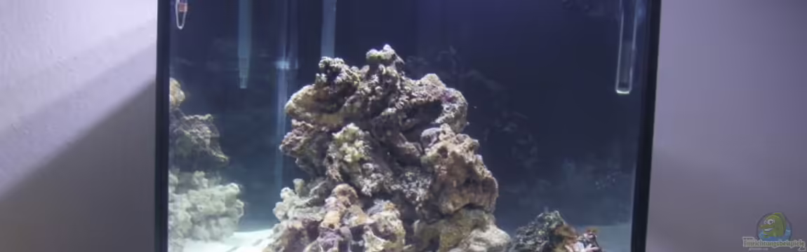 Becken 2397 von Sebastian Zunhammer