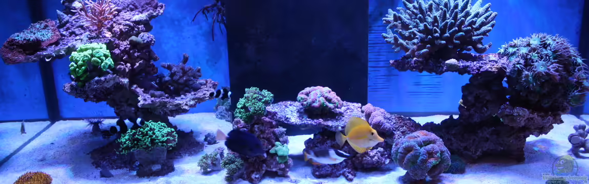 Becken 23975 von yipyip