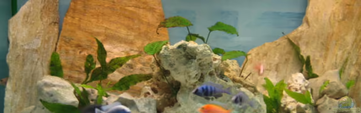 Becken 2406 von Florian Selzer