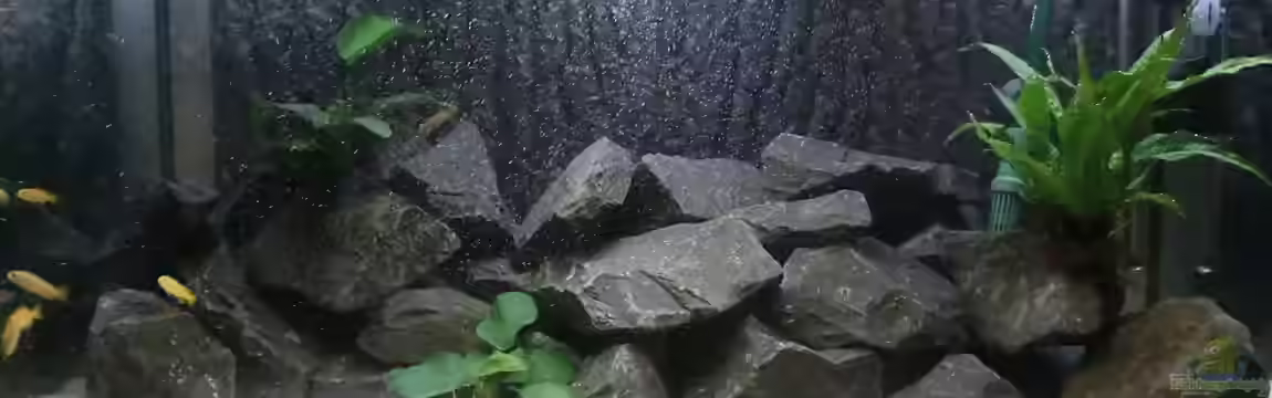 Becken 24174 von Joseg