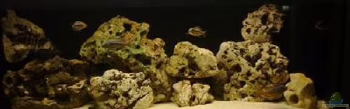 Becken 243 von Matthias Knittel