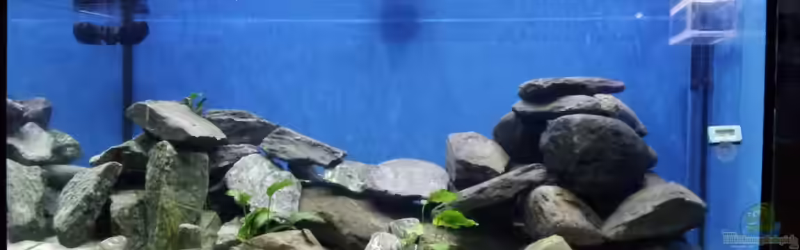 Becken 24337 von Silvio25