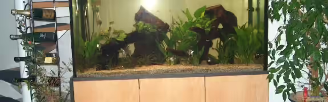 Becken 2465 von Thomas Fialkowski