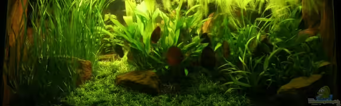 Becken 2500 von Marcus Schulte