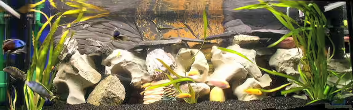 Becken 251 von Helmut Auburger