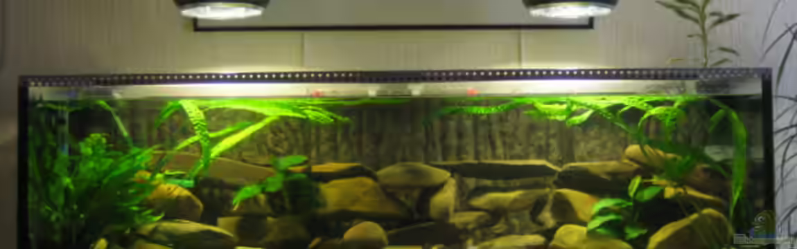 Becken 2510 von Thomas Reifenberg