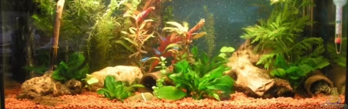 Becken 2511 von Mike Keller