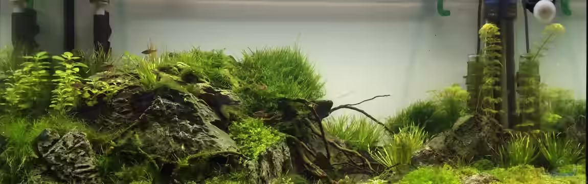 Becken 25116 von Felix22