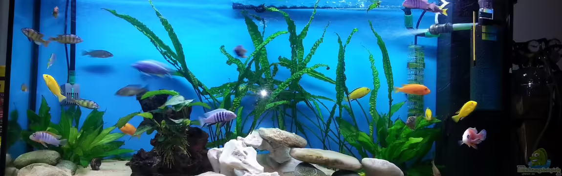 Becken 25125 von Christoph Schroll