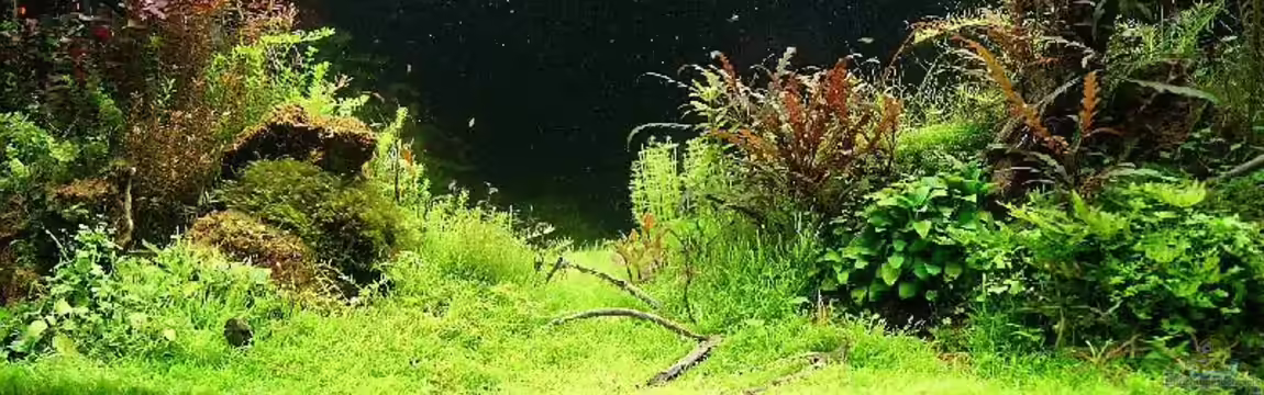 Becken 25160 von Torsten Thiel