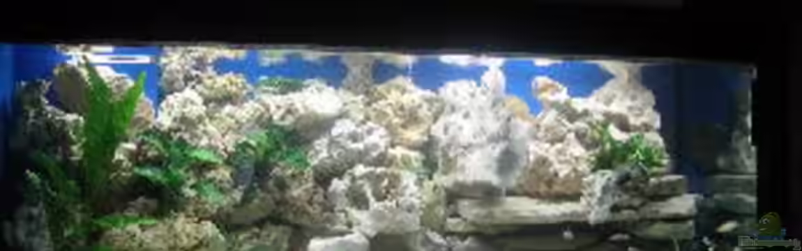 Becken 2524 von Helmut Loehr