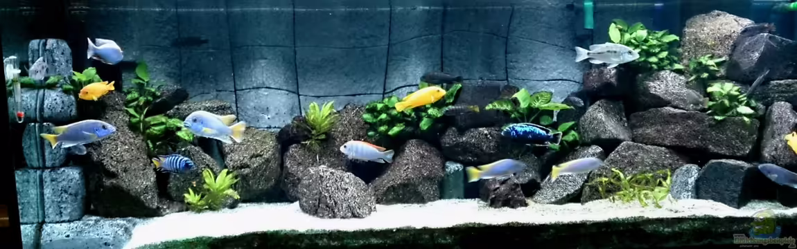 Becken 25557 von Sven 76