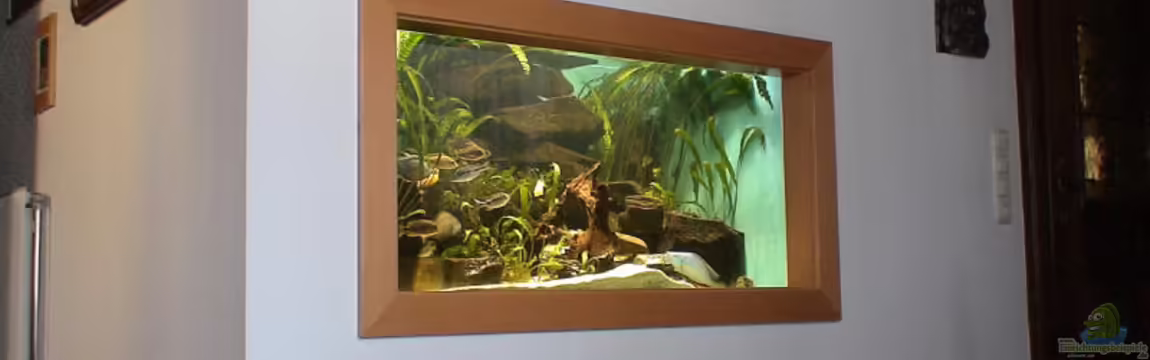 Becken 2573 von Julianno47